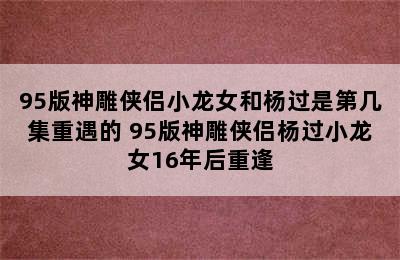 95版神雕侠侣小龙女和杨过是第几集重遇的 95版神雕侠侣杨过小龙女16年后重逢